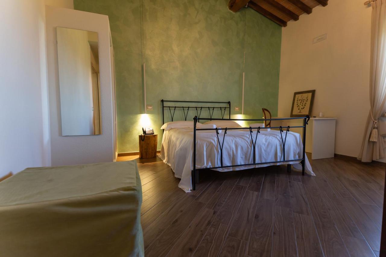 Villa Fattoria L'Olmetto Pisa Exterior foto